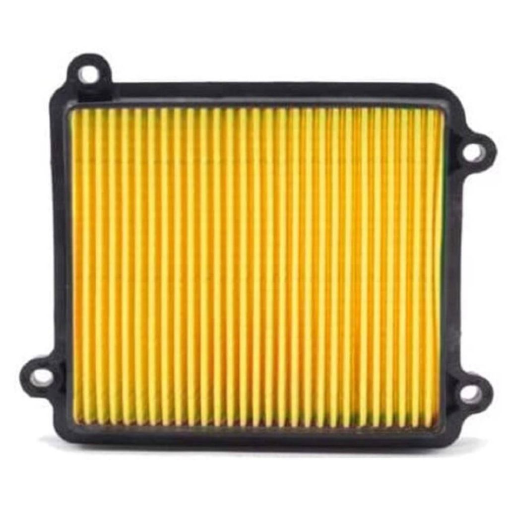 Air Filters Two Wheeler Hero CBZ Hunk